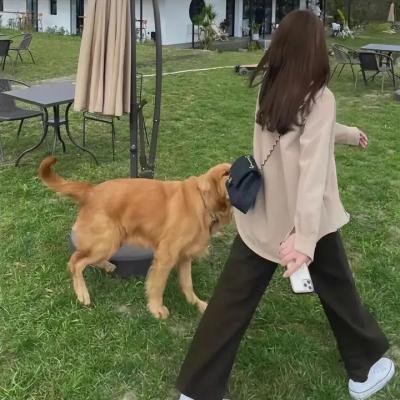 兹威林先生与祖克曼女士