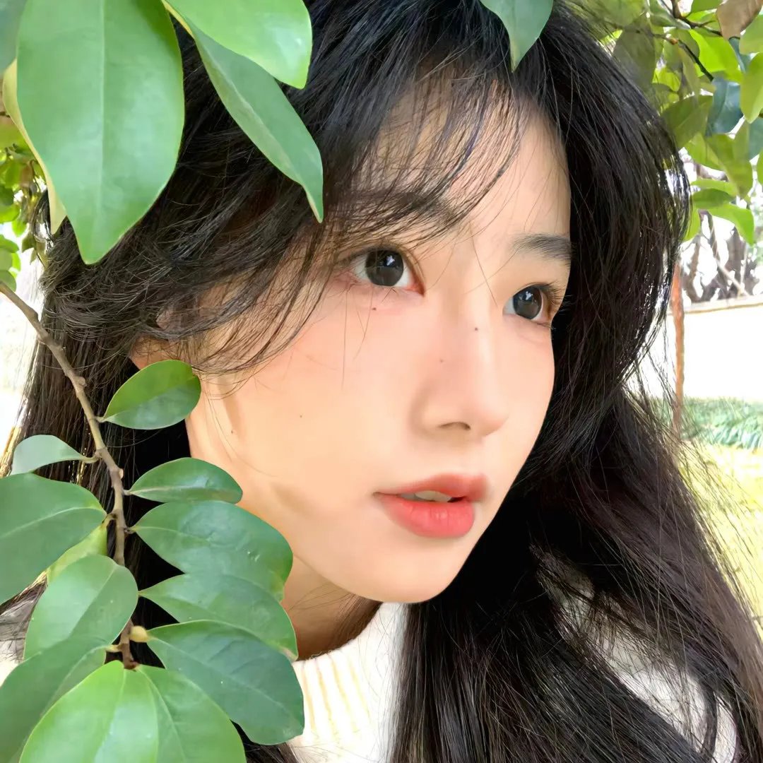 开始跳舞吧 第二季
